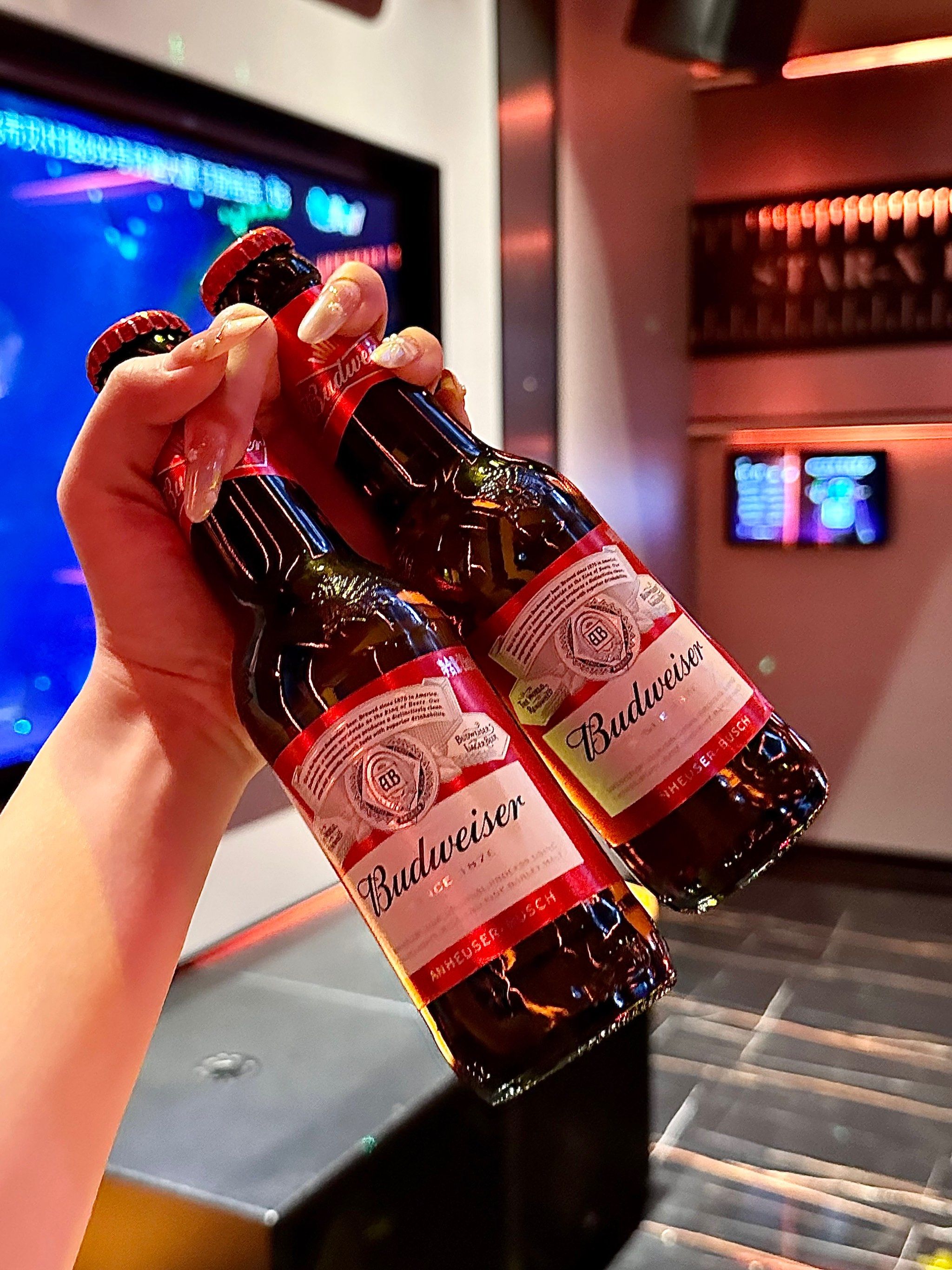 北京商务ktv尊贵体验-丰台区ktv预定